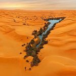 oasis Libya