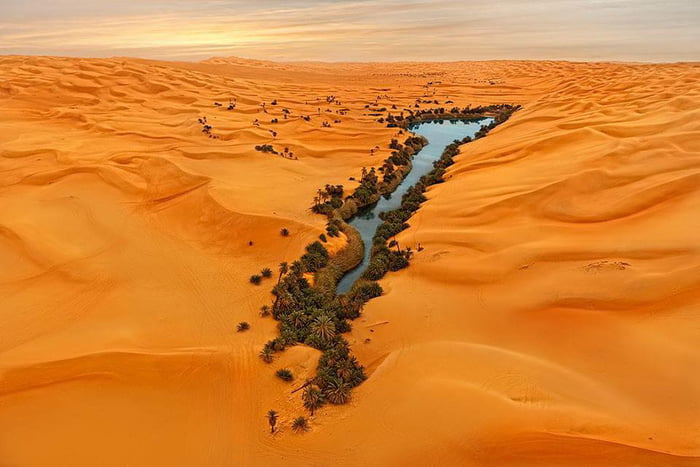 oasis Libya