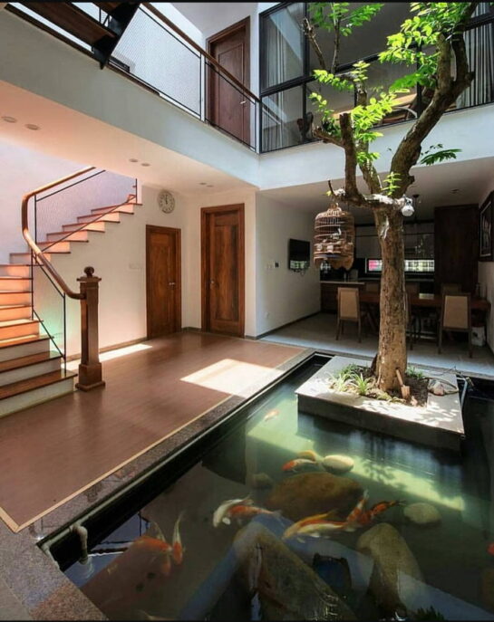 Modern home with tree and Koi pond