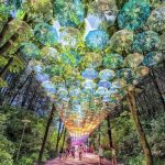 1000 umbrellas in Moomin Valley Park, Japan