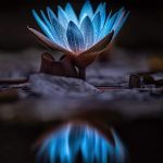 Black Forrest, Germany