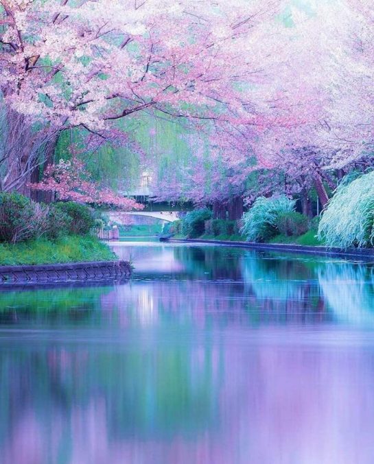 Fushimi Port Park Kyoto, Japan