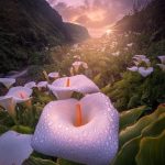 Lovely sunrise, Big Sur, California