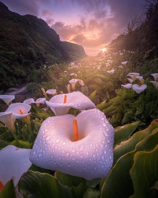 Lovely sunrise, Big Sur, California