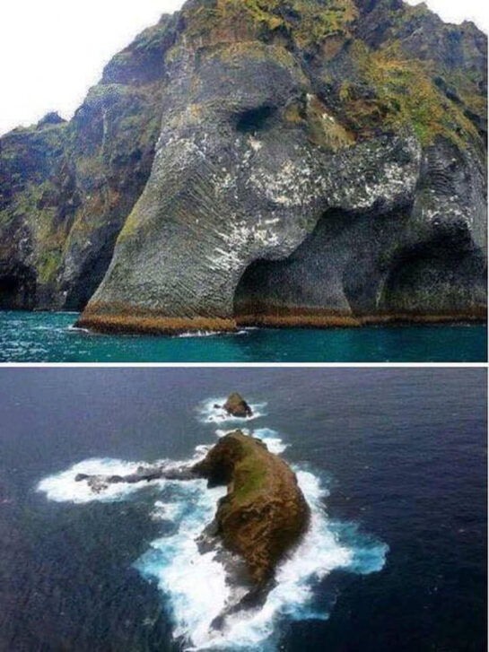 The Elephant Rock in Iceland.