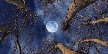 The moon
