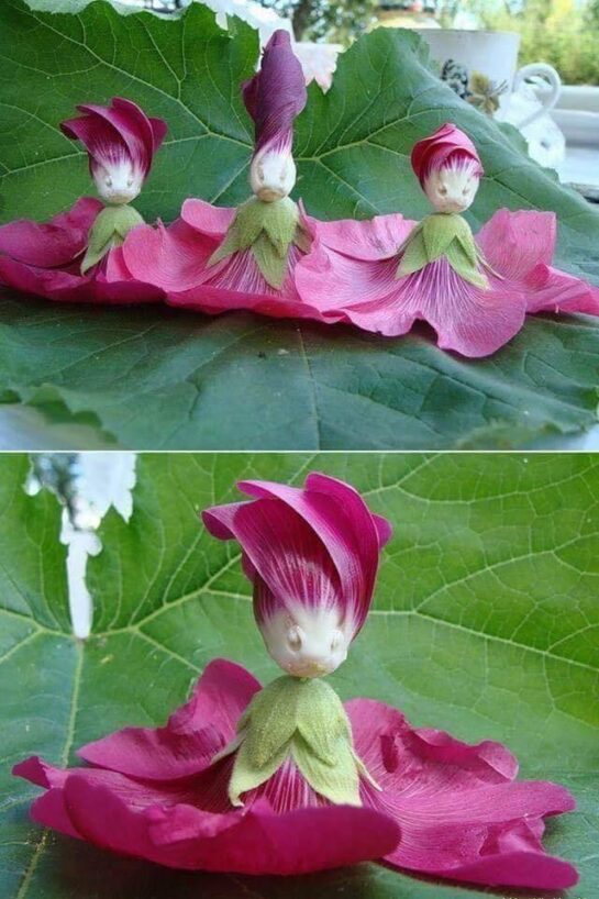 There must be spirits inside the flowers!