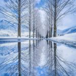 Winter magic in Japan