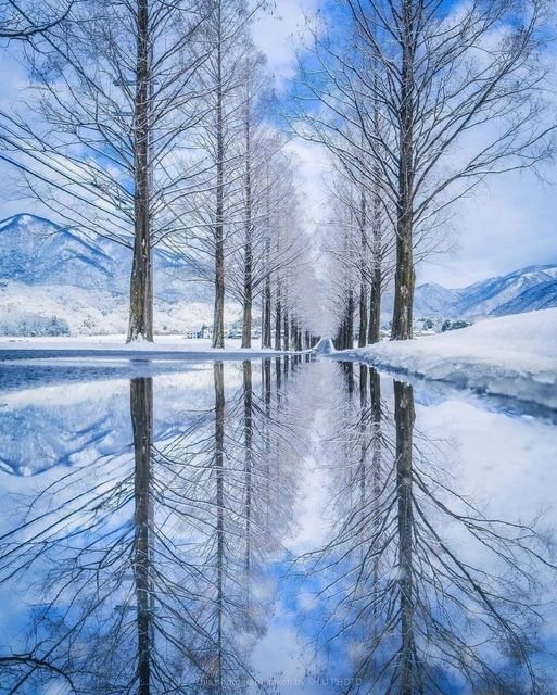 Winter magic in Japan