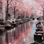 Frühling in Amsterdam