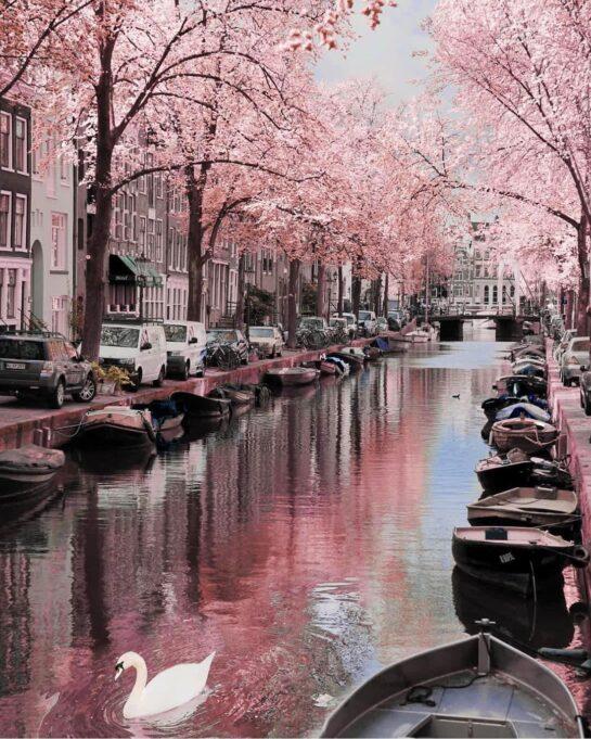 Frühling in Amsterdam