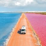 South Australia, MacDonnell