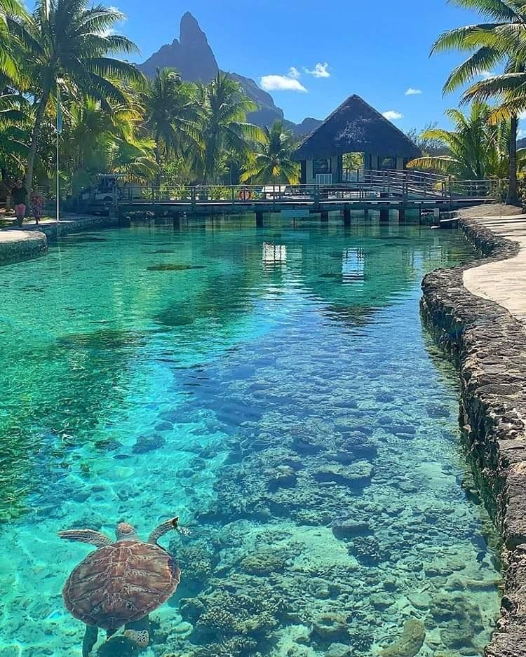 The beauty of Bora Bora