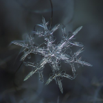 ice under a microscope