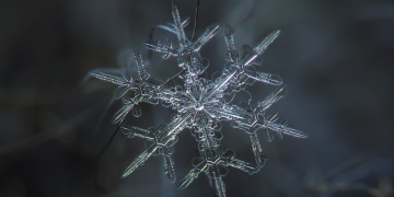 ice under a microscope