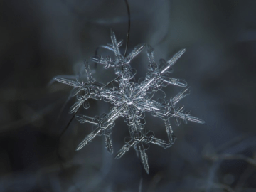 ice under a microscope