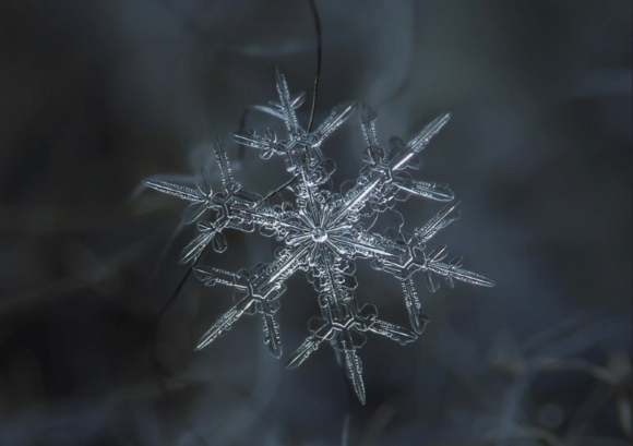 Ice under a microscope - 9oole