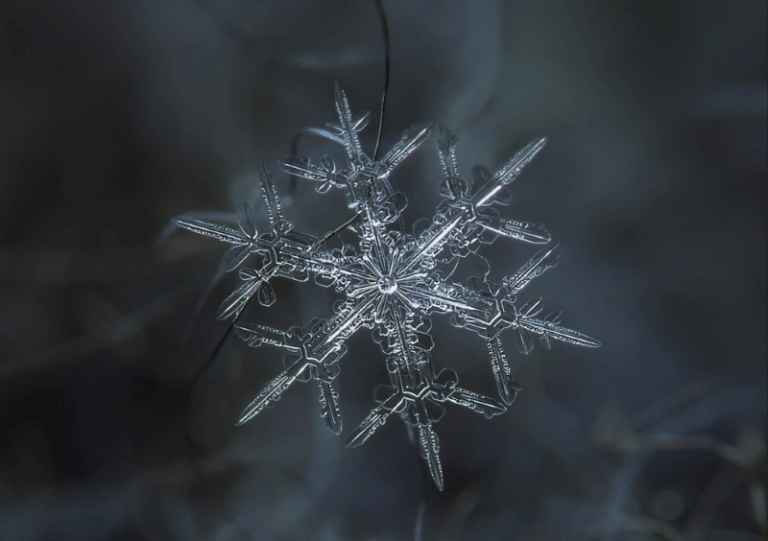 ice under a microscope
