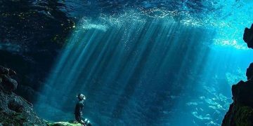 Diving pleasure in Kailua, Hawaii