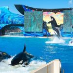 Tourism in California