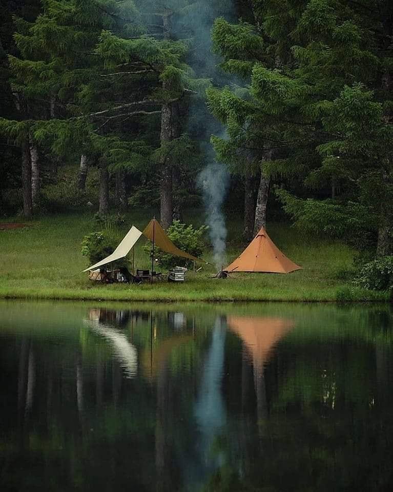 Are you like Camping here