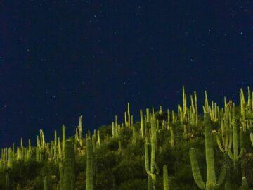 Blood Moon Over the Sonoran Desert - Tucson, Arizona