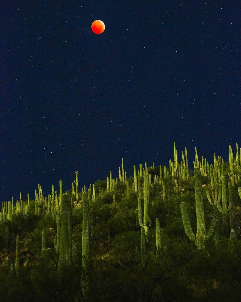 Blood Moon Over the Sonoran Desert - Tucson, Arizona