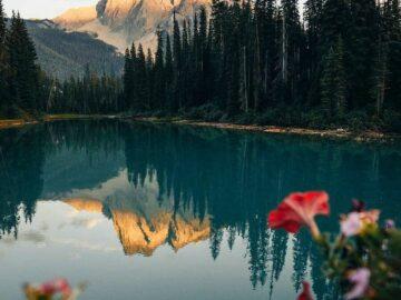 Calm Evenings at Emerald Lake by Phil Nguyen