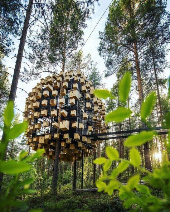 Creative bird nests