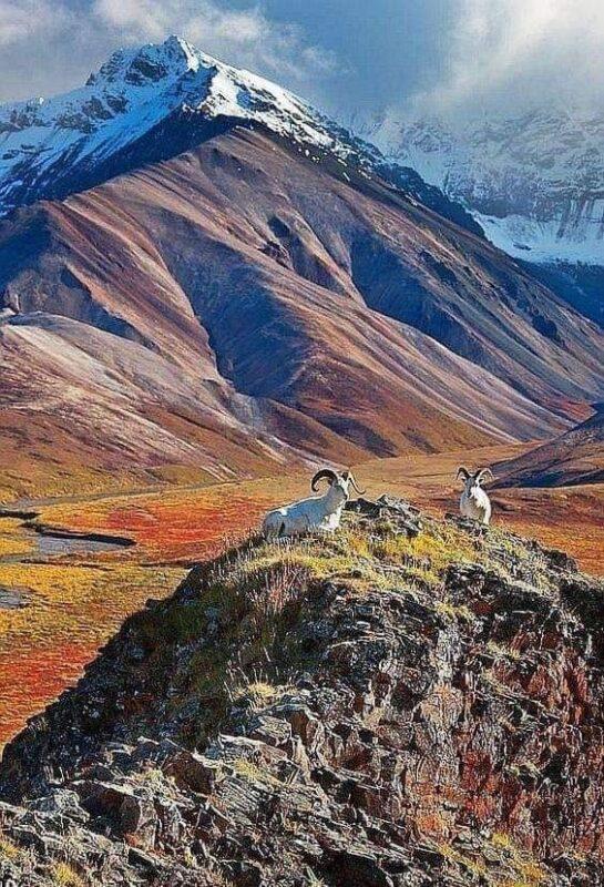 Denali National Park, Alaska