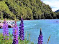 Eglinton River, New Zealand