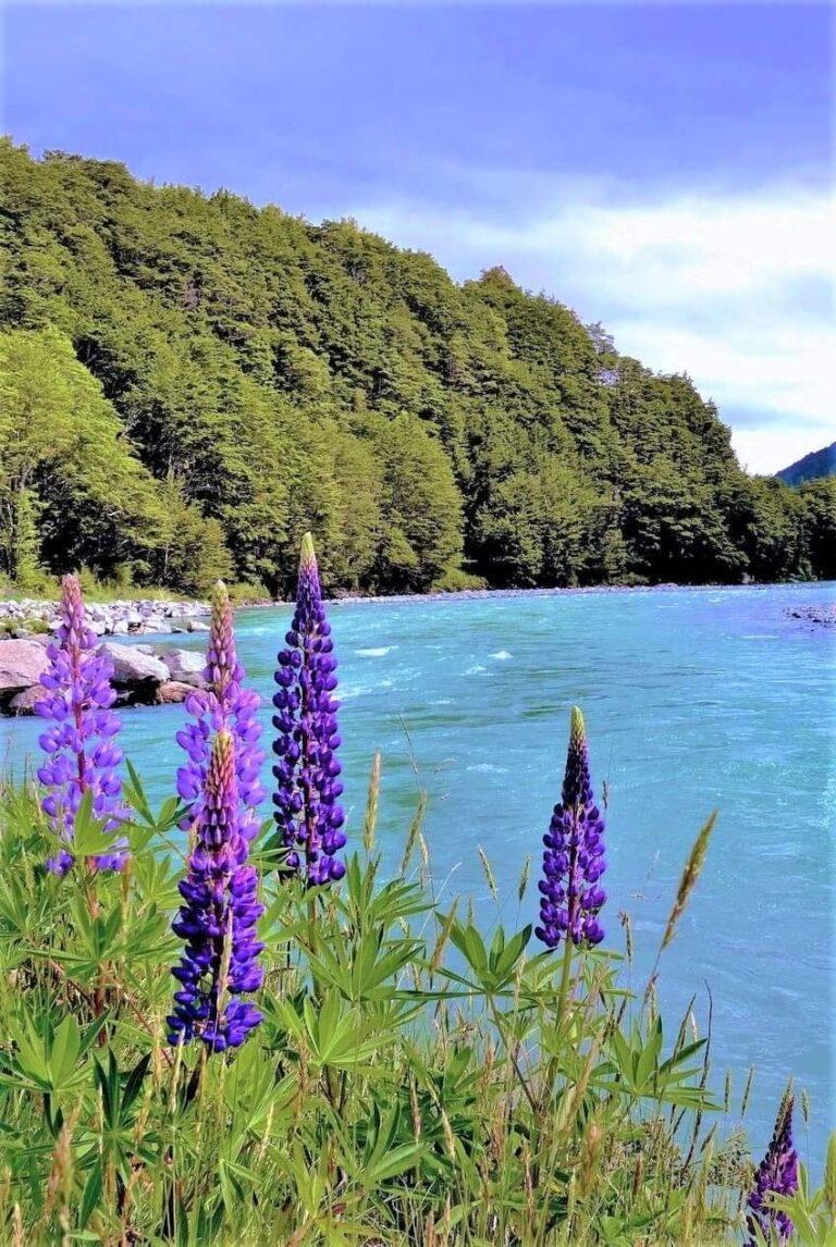 Eglinton River, New Zealand