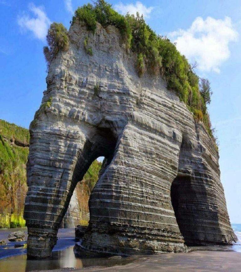 Elephant Rock in New Zealand