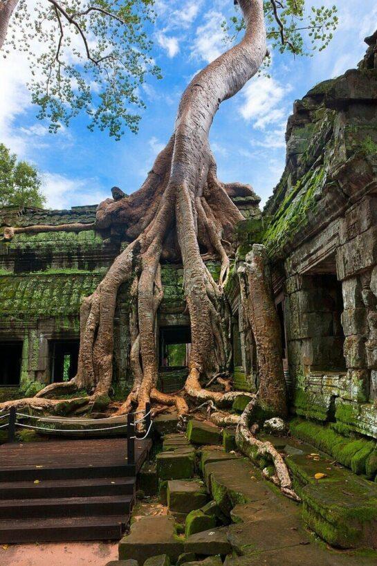 Iconic Anghor Wat in Cambodia