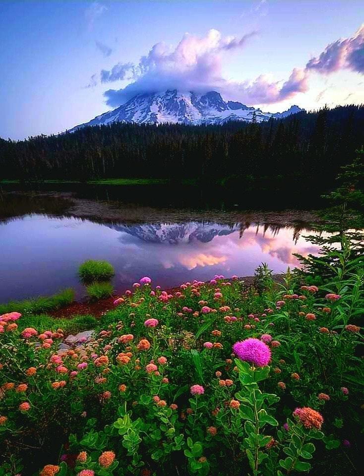 Mount Rainer National Park, Washington, USA