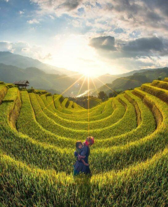 Mu Cang Chai terraces, Vietnam