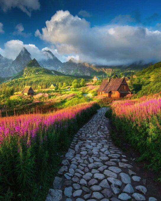 National park in Zakopane Poland