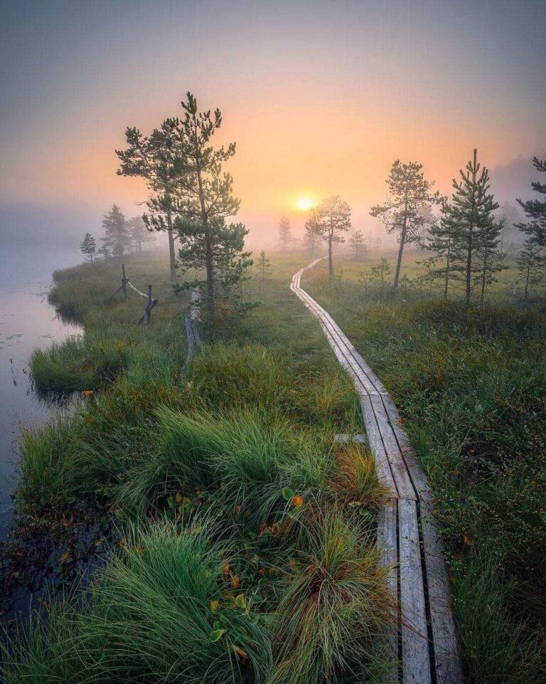 Nature Finland