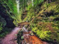 Pucks Glen Scotland