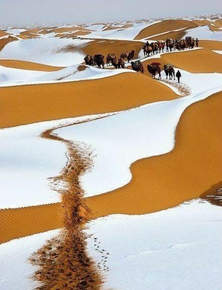 Saraha Desert Snow