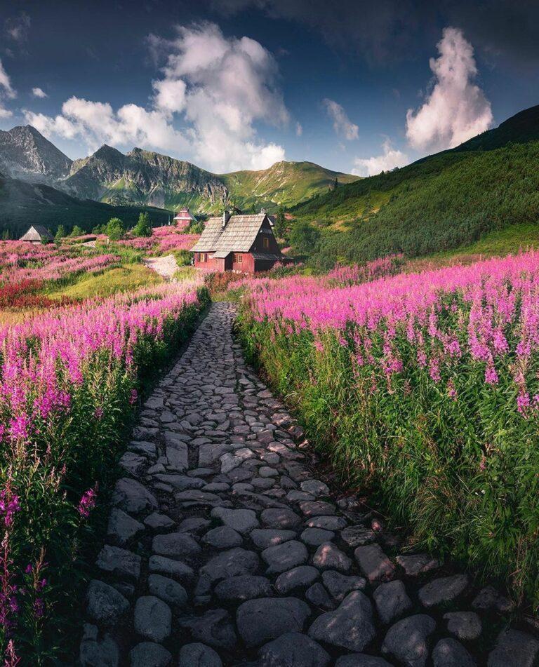 Tatra mountains. Poland