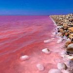 The pink lake of French Riviera in Mediterranean coast of France