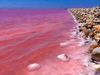 The pink lake of French Riviera in Mediterranean coast of France