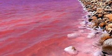 The pink lake of French Riviera in Mediterranean coast of France