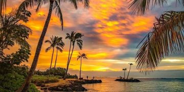 Tropical Sunset Oahu Hawaii