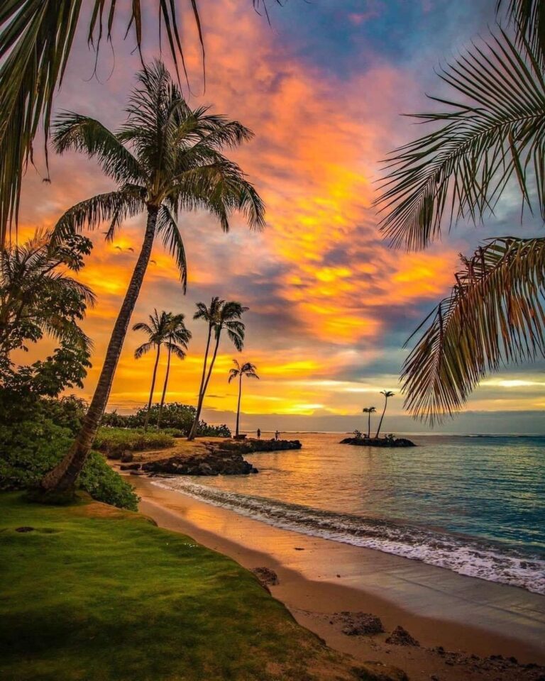 Tropical Sunset Oahu Hawaii