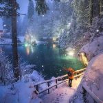 Winter Wonderland ? Blausee, Switzerland